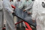 Eine Gruppe von Menschen in weißen Schutzanzügen tragen zusammen eine Solarpanele.